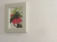 blowjob and fuck after shower